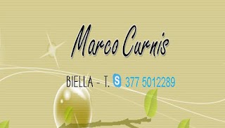 CURNIS MARCO