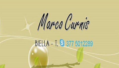 CURNIS MARCO