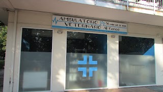 Ambulatorio Veterinario Al Parco