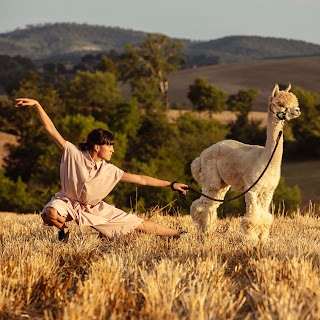 PACASTUDIO scuola di danza