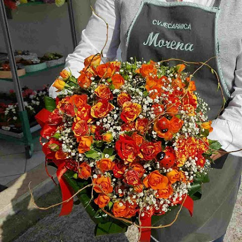 Flower shop "Morena"