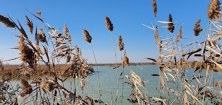 Oasi del Quadrone