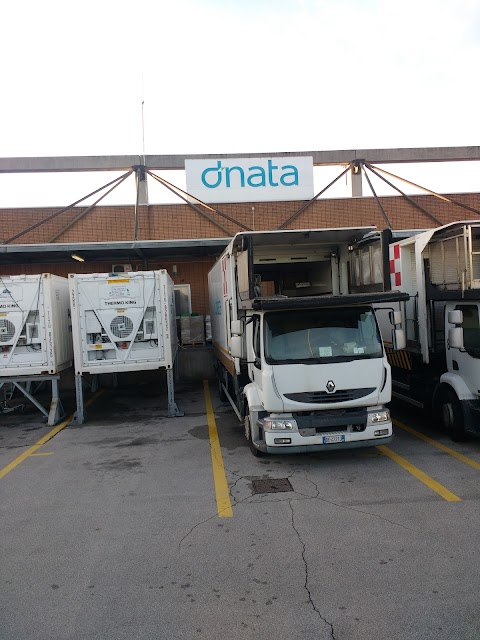 dnata s.r.l