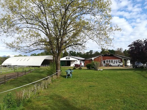 Agriturismo&Scuderia Fano's Farm