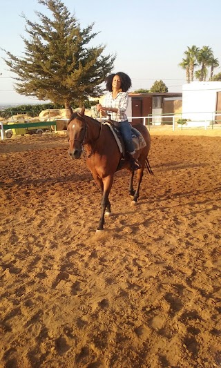 S.e.a.j. Ranch di Luciano Burderi - Scuola Di Equitazione, Addestramento Cavalli