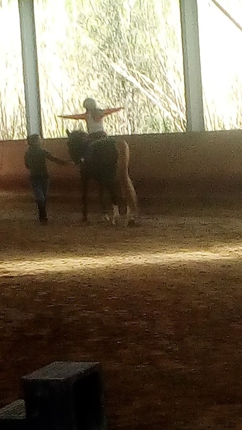 Arenzano Horse Riding Centre