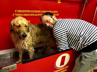 Laval Dog lavaggio cani selfservice