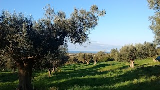 Casale Oliveto dei Monti