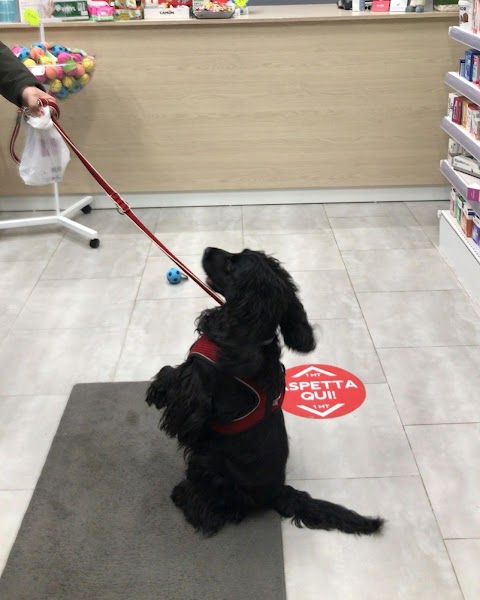 Farmacia Veterinaria Matera