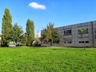 Scuola Primaria "Anna Frank"