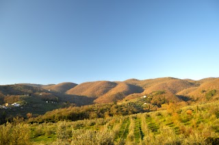 Circolo Massa dei Sabbioni