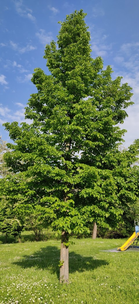 Parco con giochi di via Turchia