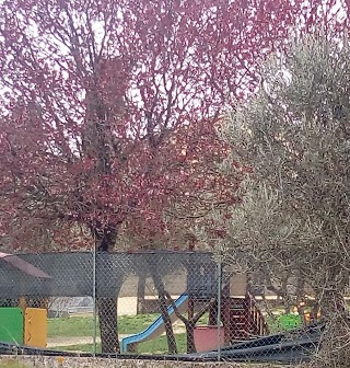 Scuola Infanzia Ponte Agli Stolli