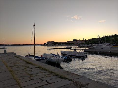 Faculty of Maritime Studies and Transport