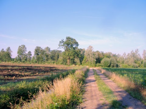 Prati stabili del Palù