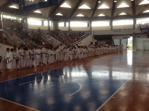 SCUOLA KARATE CASTELFRANCO