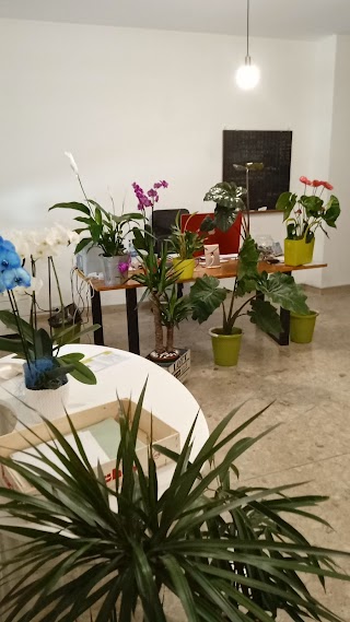 Boutique dei Fiori