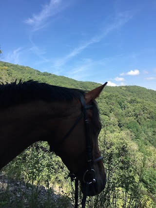 Asd Scuderia La Costa