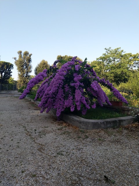 Scuola paritaria "San Giovanni Battista"