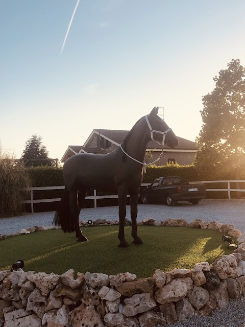 Centro Equestre Barone - Scuola di Equitazione per adulti e bambini