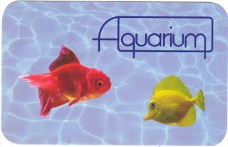 Aquarium ghiroldi tiziana