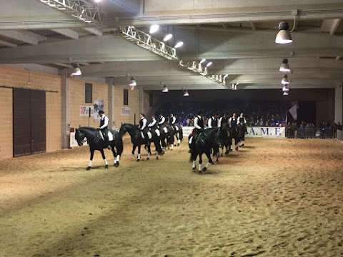 Accademia nazionale di arte equestre "Il nero luminoso"