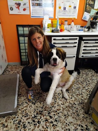 Ambulatorio Veterinario Dr.Ssa Anna Borghi Perosa Argentina