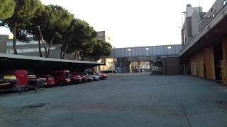 Gruppo Sportivo Vigili del Fuoco Salza