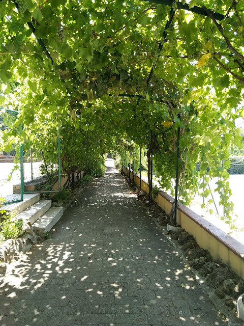 Scuola paritaria "San Giovanni Battista"