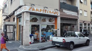 ZAMPETTANDO SALERNO