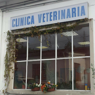 Clinica Veterinaria Di Dott.Ssa Ingrid Foti