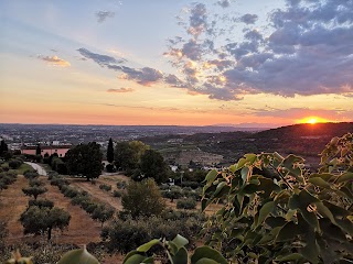 Ai Reduci - Enoteca Osteria