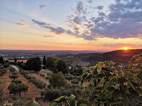 Ai Reduci - Enoteca Osteria