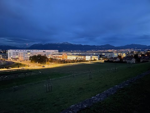 Scuola Politecnica Federale di Losanna