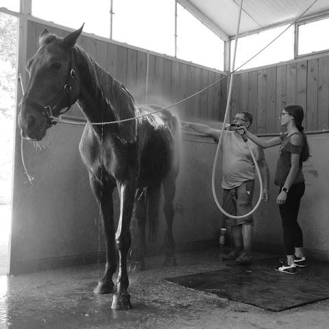 Centro Ippico Tenuta Santa Grazia - Isamar Horse Riding Center