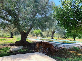 Trullo Cristiana