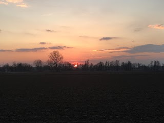 Il Cavallino Centro Equestre