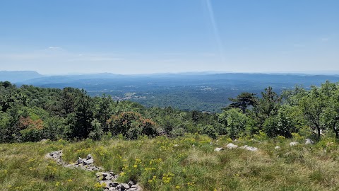 Stjenkova koča na Trstelju