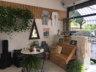 THE JUNGLE - Indoor Garden - Grow Shop