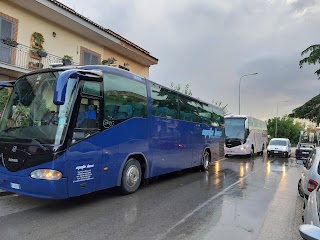 Di Foggia Rosa