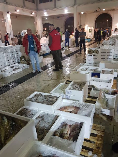 Mercato Ittico all'ingrosso di Chioggia