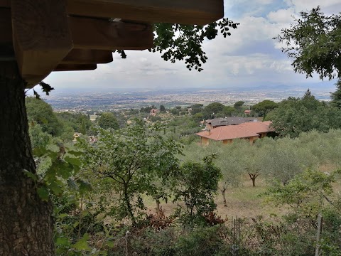 Parco Catone Adventure (parco avventura Roma)