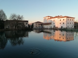 Passeggiata Naturalistica sul Sile