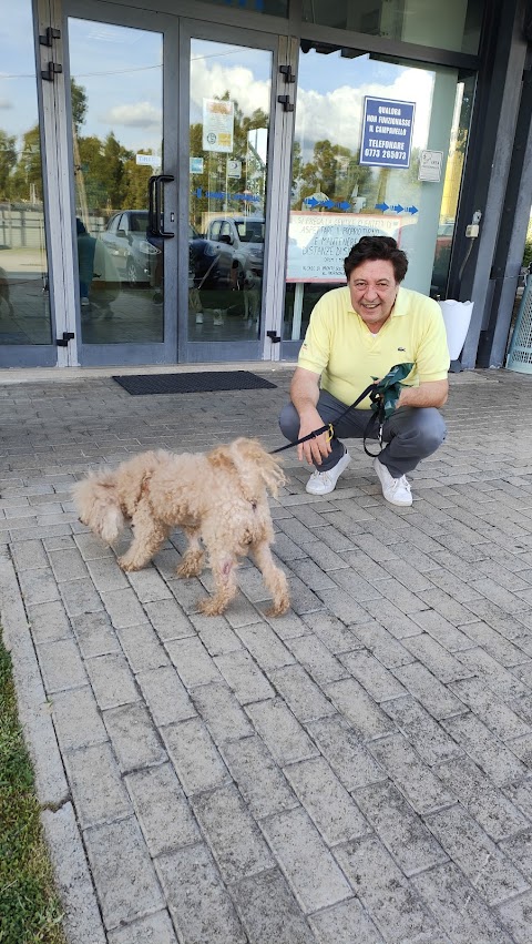 Ospedale Veterinario Amici Degli Animali