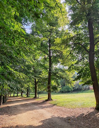 Park behind Spinelli School