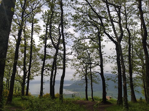 Belvedere di Poggio Trincera