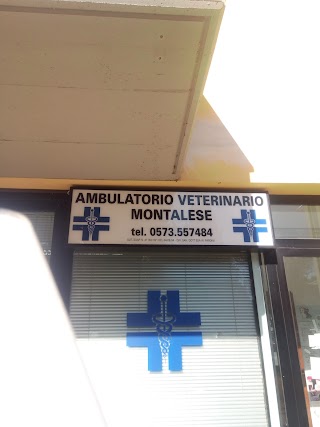 Ambulatorio Veterinario Montalese