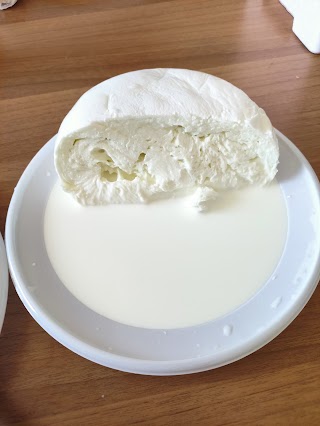 Mini Caseificio Costanzo - Mozzarella Di Bufala