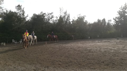 Scuola Equitazione Fiorentina