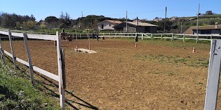 Cifa Ranch